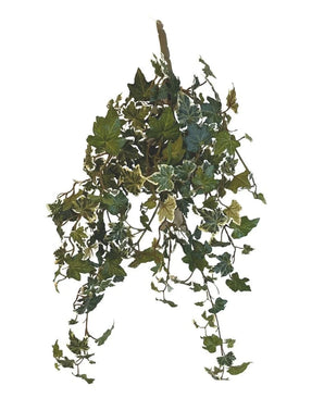 De Kunst Klimop Deluxe Groen-wit 60cm is een hangende tros van kunstmatige klimopranken met groen en wit bonte bladeren tegen een effen witte achtergrond.