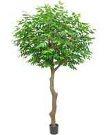 Artificial Coffee Boom 300 cm - Easyplants Artificial Plants & Flowers