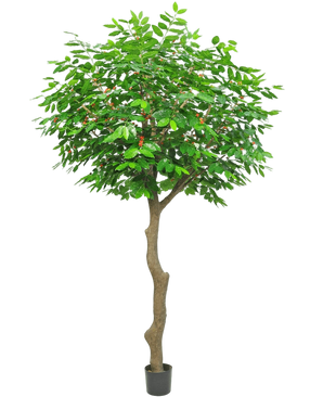 Artificial Coffee Boom 300 cm - Easyplants Artificial Plants & Flowers