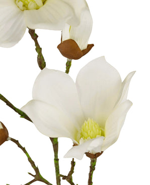 Close-up van de Kunst Magnolia Real Touch Wit 72cm: een bloeiende witte magnolia met zachte bloemblaadjes, geel hart, groene stelen en ongeopende knoppen aan de takken, tegen een witte achtergrond.