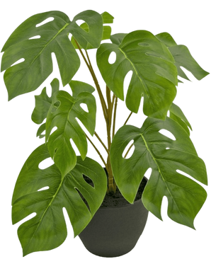 Artificial Monstera 40 cm in Sierpot Black - Easyplants Artificial Plants & Flowers