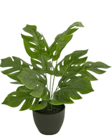 Artificial Monstera 40 cm in Sierpot Black - Easyplants Artificial Plants & Flowers