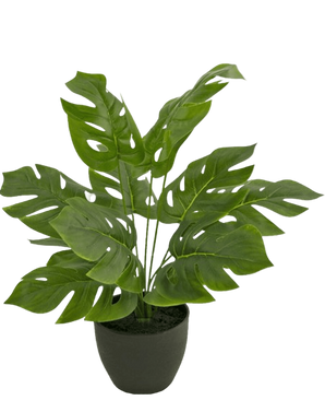 Artificial Monstera 40 cm in Sierpot Black - Easyplants Artificial Plants & Flowers