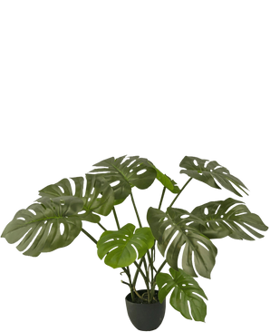 Artificial Monstera 50 cm - Easyplants Artificial Plants & Flowers