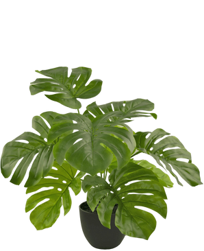 Artificial Monstera 55 cm in Sierpot Black - Easyplants Artificial Plants & Flowers