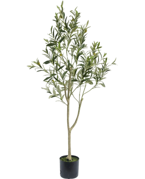 De Kunst Olijfboom 120 cm heeft slanke takken en groene bladeren in een eenvoudige zwarte pot, ideaal als decoratief element voor een mediterrane sfeer op een witte achtergrond.