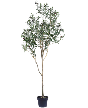 Artificial olive tree 180 cm - Easyplants Artificial Plants & Flowers