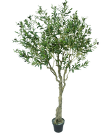 Artificial olive tree 200 cm - Easyplants Artificial Plants & Flowers