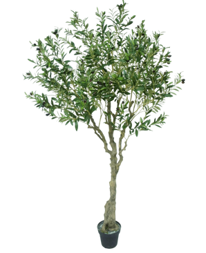 Artificial olive tree 200 cm - Easyplants Artificial Plants & Flowers