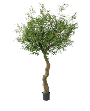 Artificial olive tree 270 cm without olives - Easyplants Artificial Plants & Flowers