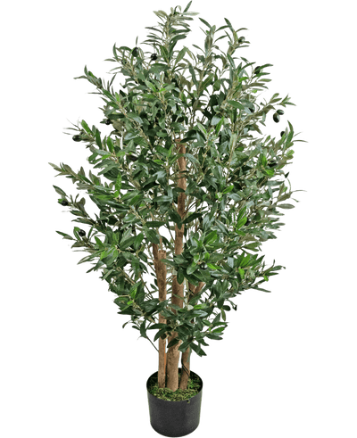 De Kunst Olijfplant 120 cm UV is een hoge kunstolijfboom met meerdere houten stammen en dichte groene bladeren in een kleine zwarte pot.