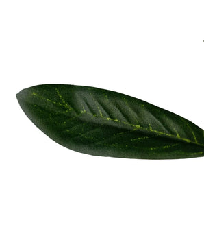 A single Artificial Olive Branch 109 cm, dark green with visible veins and subtle yellow speckles, isolated on a white background.