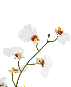 Artificial Oncidium Real Touch 48 cm White