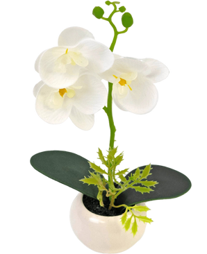 Artificial orchid 28 cm white in pot - Easyplants Artificial Plants & Flowers