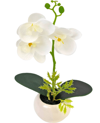 Artificial orchid 28 cm white in pot - Easyplants Artificial Plants & Flowers