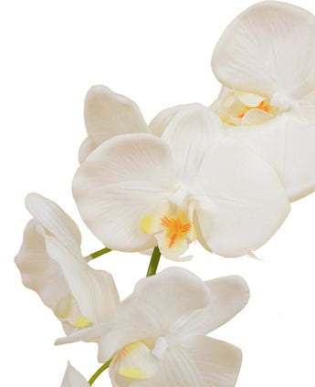 Een close-up van de Kunst Orchidee 50 cm wit in pot toont verschillende witte orchideeënbloemen met lichtgele en oranje hartjes tegen een witte achtergrond.