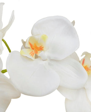 Een close-up van de Kunst Orchidee 58 cm wit, met zachtwitte bloemblaadjes met een vleugje geel en oranje in het midden, tegen een effen witte achtergrond.