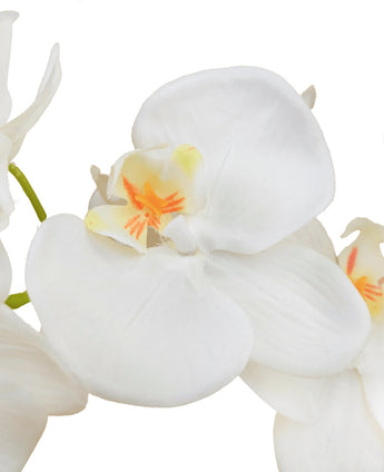 Een close-up van de Kunst Orchidee 58 cm wit, met zachtwitte bloemblaadjes met een vleugje geel en oranje in het midden, tegen een effen witte achtergrond.