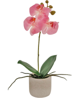 Artificial Orchid Real Touch 30 cm Pink - Easyplants Artificial Plants & Flowers