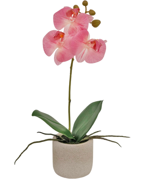 Artificial Orchid Real Touch 30 cm Pink - Easyplants Artificial Plants & Flowers