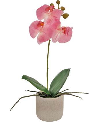 Artificial Orchid Real Touch 30 cm Pink - Easyplants Artificial Plants & Flowers