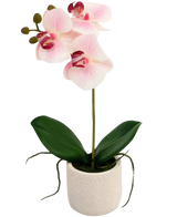 Artificial Orchid Real Touch 30 cm Pink/White - Easyplants Artificial Plants & Flowers