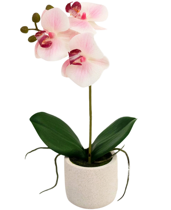 Artificial Orchid Real Touch 30 cm Pink/White - Easyplants Artificial Plants & Flowers