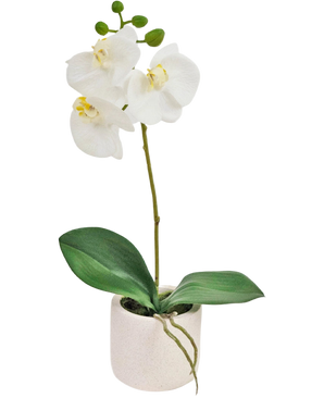 Artificial Orchid Real Touch 30 cm White - Easyplants Artificial Plants & Flowers