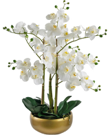 Artificial Orchid Real Touch 50 cm White in Pot Gold - Easyplants Artificial Plants & Flowers