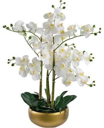Artificial Orchid Real Touch 50 cm White in Pot Gold - Easyplants Artificial Plants & Flowers