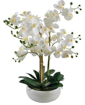 Artificial Orchid Real Touch 50 cm White in Pot White