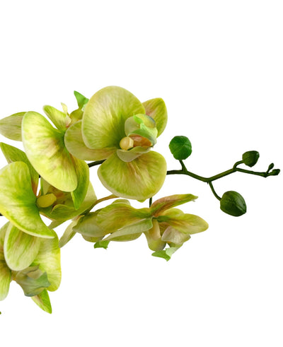 A close-up of the Artificial Orchid Real Touch 60 cm green shows light green and yellow orchid flowers with a few unopened buds on the stem, against a white background.