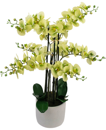 Artificial Orchid Real Touch 81 cm Green - Easyplants Artificial Plants & Flowers