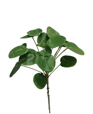 Artificial Pilea Pancake Plant 50 cm - Easyplants Artificial Plants & Flowers