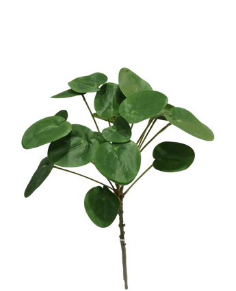 Artificial Pilea Pancake Plant 50 cm - Easyplants Artificial Plants & Flowers