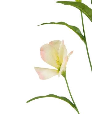 De Kunst Rhododendron Azalea Real Touch Crème/roze 80cm heeft delicate crème en zachtroze bloemblaadjes met groene bladeren op een lange steel, prachtig tegen een witte achtergrond.