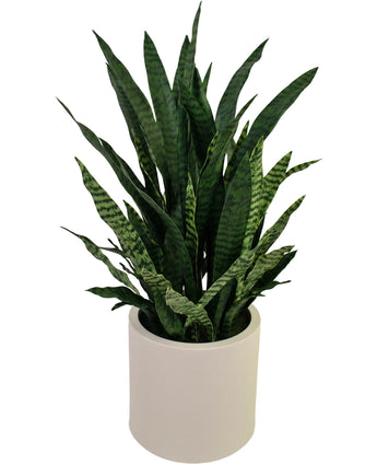 Artificial Sansevieria Zylanica 43 cm ready -made in beige pot - Easyplants Artificial Plants & Flowers