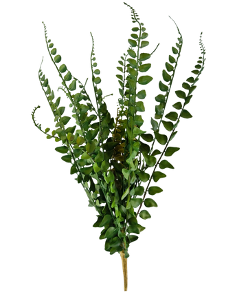 Artificial stitch sailing 48 cm - Easyplants Artificial Plants & Flowers