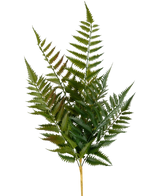 Artificial stab sailing 56 cm - Easyplants Artificial Plants & Flowers