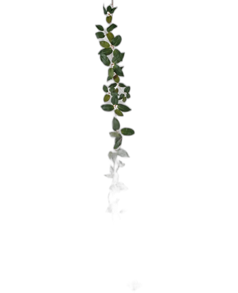 Kunst Tradescantia Slinger Groen 180 cm