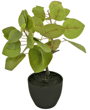 Artificial Tropica Ficus 12 cm in Sierpot Black