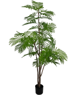 Artificial sailing plant 180 cm - Easyplants Artificial Plants & Flowers