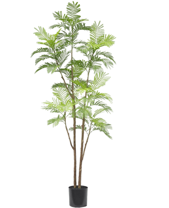 Artificial sailing plant 210 cm - Easyplants Artificial Plants & Flowers