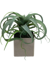 Artificial fat plant in pot 24 cm - Easyplants Artificial Plants & Flowers