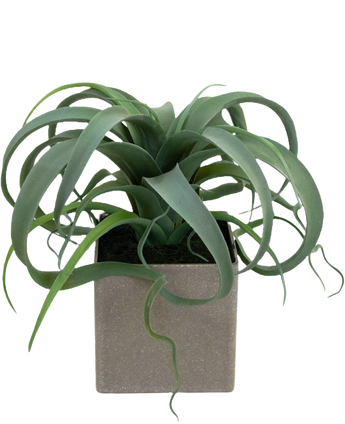 Artificial fat plant in pot 24 cm - Easyplants Artificial Plants & Flowers