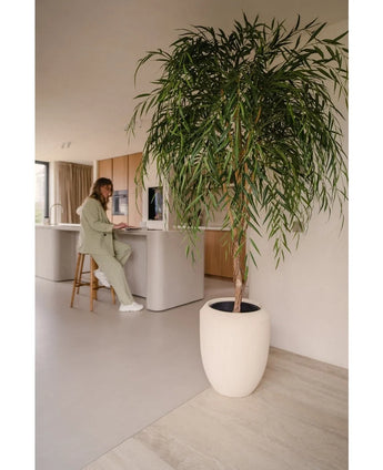 An Artificial Willow Tree 210 cm stands in the foreground of a light, minimalist kitchen. In the background a person in light green sits on a bar stool at the counter, working on a laptop.