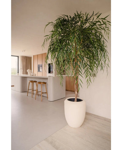Een Kunst Wilgenboom 210 cm met lange, slanke bladeren voegt groen toe aan een moderne keuken met lichthouten kasten, een wit eiland en houten barkrukken. Zonlicht uit het raam benadrukt zijn aanwezigheid in de minimalistische ruimte.