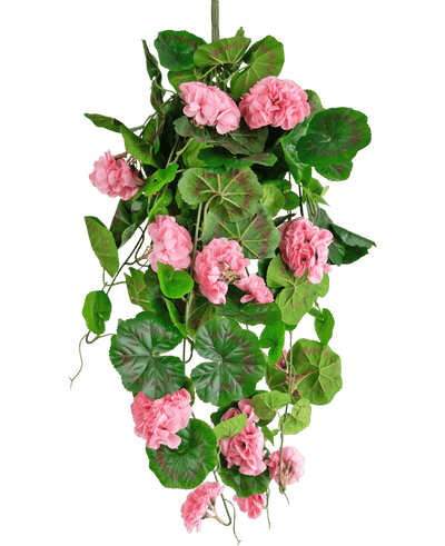De Kunst hangplant Geranium 75 cm roze heeft kunstmatige groene bladeren en roze geraniumbloemen die naar beneden vallen, perfect als hangdecoratie tegen een witte achtergrond.