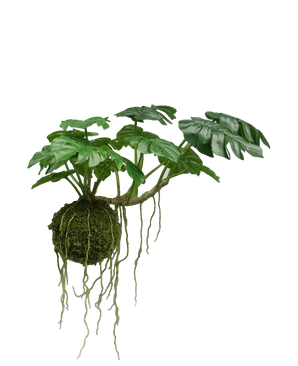 Artificial Hanging Plant Monstera Deluxe 60 cm - Easyplants Artificial Plants & Flowers