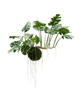 Artificial Hanging Plant Monstera Deluxe 80 cm - Easyplants Artificial Plants & Flowers